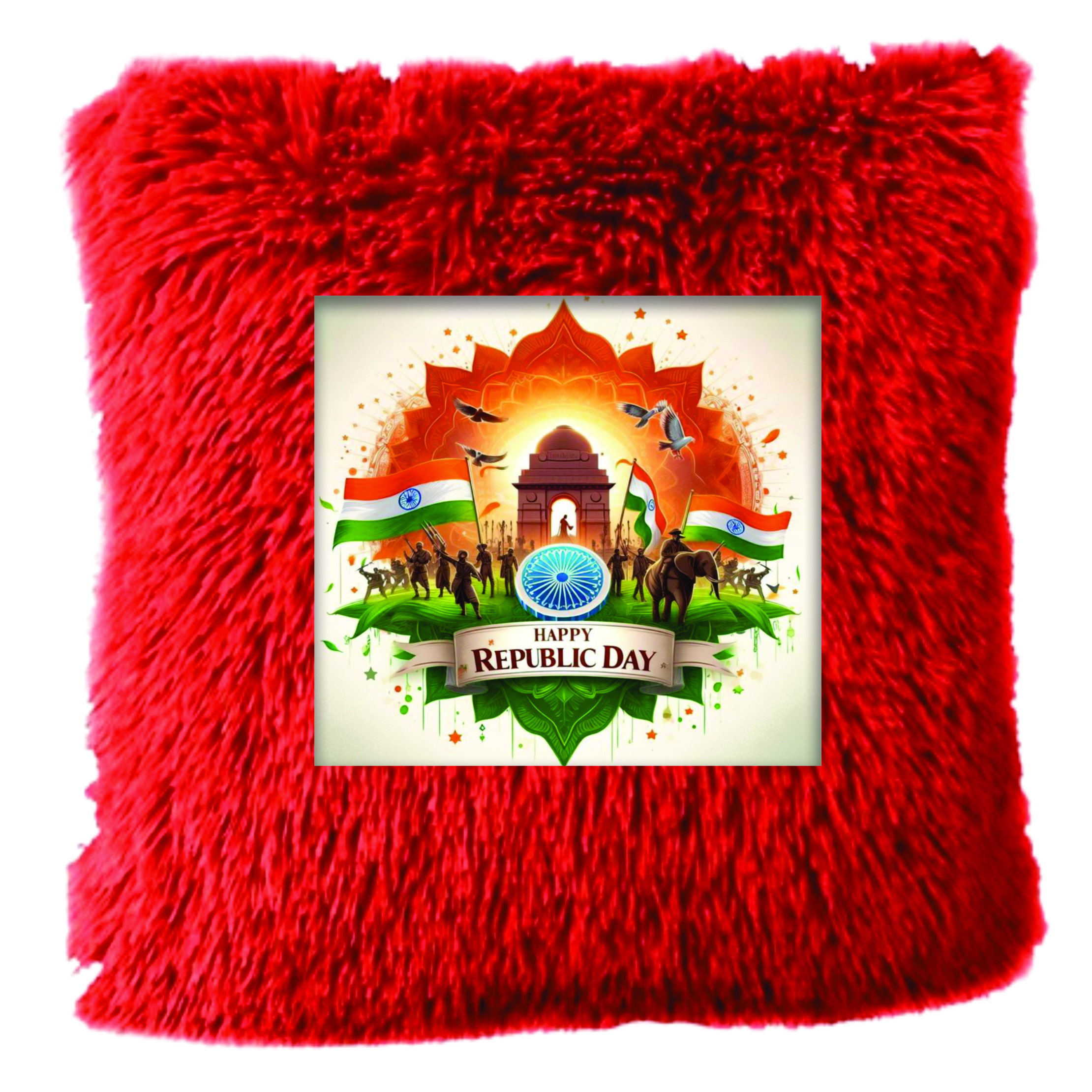 Republic Day Fur Cushion (Printed)
